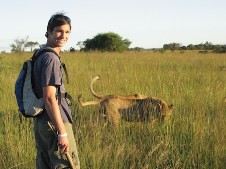 2 weeks, Antelope Park, Zimbabwe, Lion work